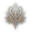 class logo